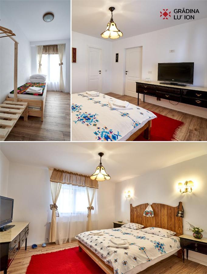 Gradina Lu' Ion "A Home Away From Home" (Adults Only) Viseu de Sus Bagian luar foto