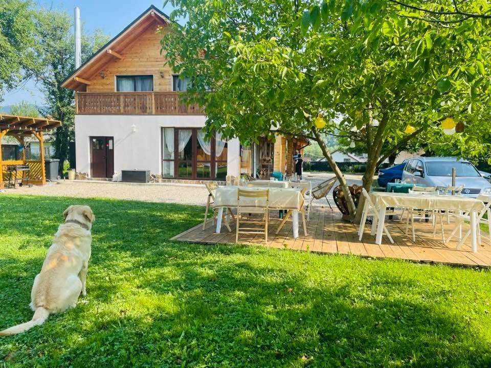 Gradina Lu' Ion "A Home Away From Home" (Adults Only) Viseu de Sus Bagian luar foto