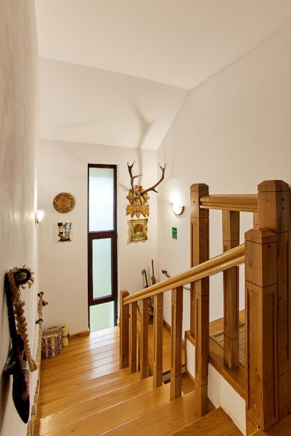 Gradina Lu' Ion "A Home Away From Home" (Adults Only) Viseu de Sus Bagian luar foto