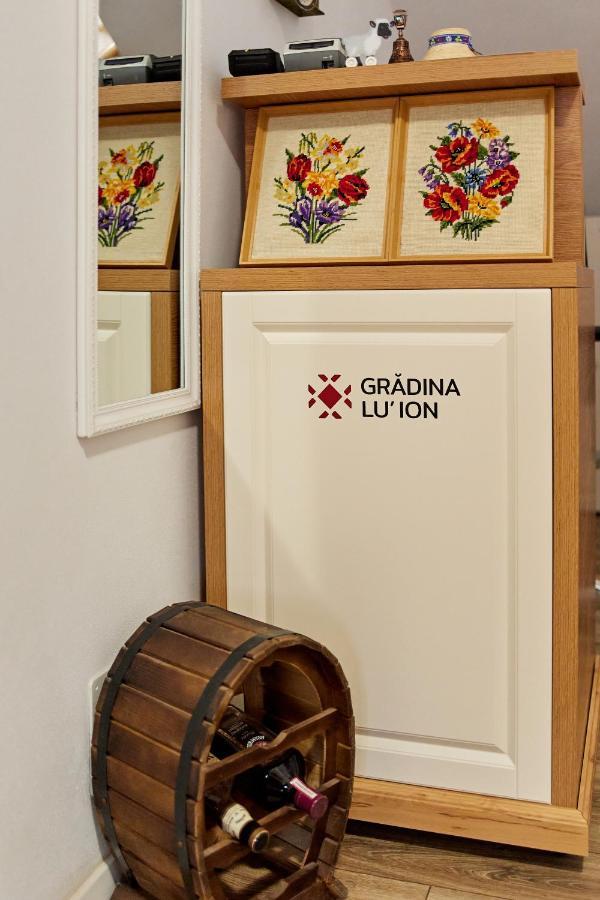 Gradina Lu' Ion "A Home Away From Home" (Adults Only) Viseu de Sus Bagian luar foto